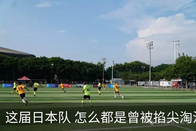 这届日本队 怎么都是曾被掐尖淘汰的孩子啊